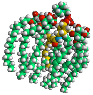 Lym-X-Sorb monomer complexed (in a conceptual model) with a molar equivalent of fenretinide, in yellow.